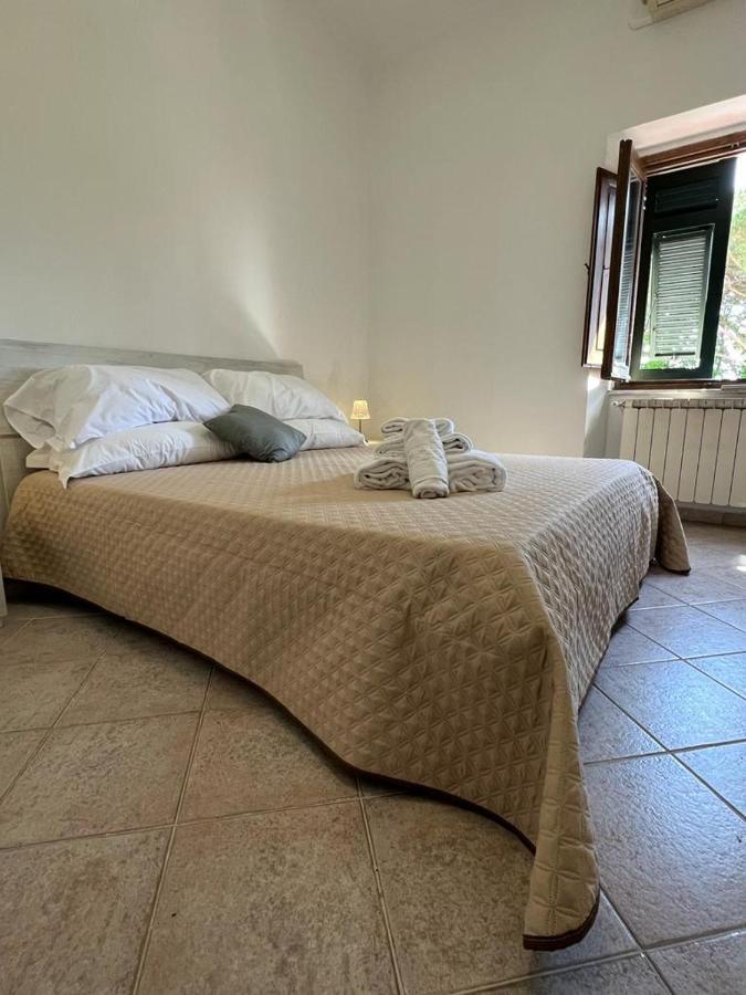 Villa San Giorgio 萨尔扎纳 外观 照片