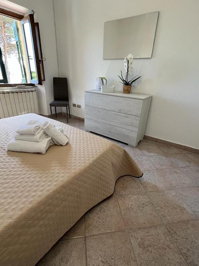Villa San Giorgio 萨尔扎纳 外观 照片